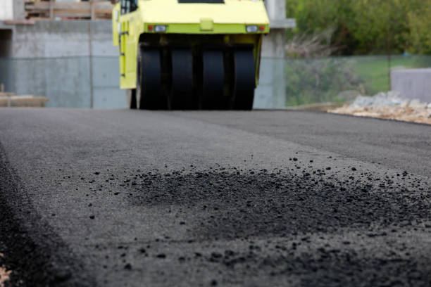 Best Driveway Pavers Near Me  in Elm Springs, AR