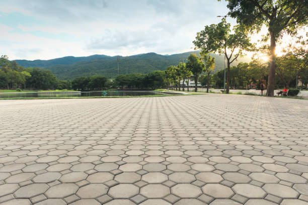 Best Local Driveway Pavers  in Elm Springs, AR