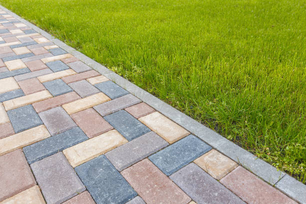 Best Professional Driveway Pavers  in Elm Springs, AR